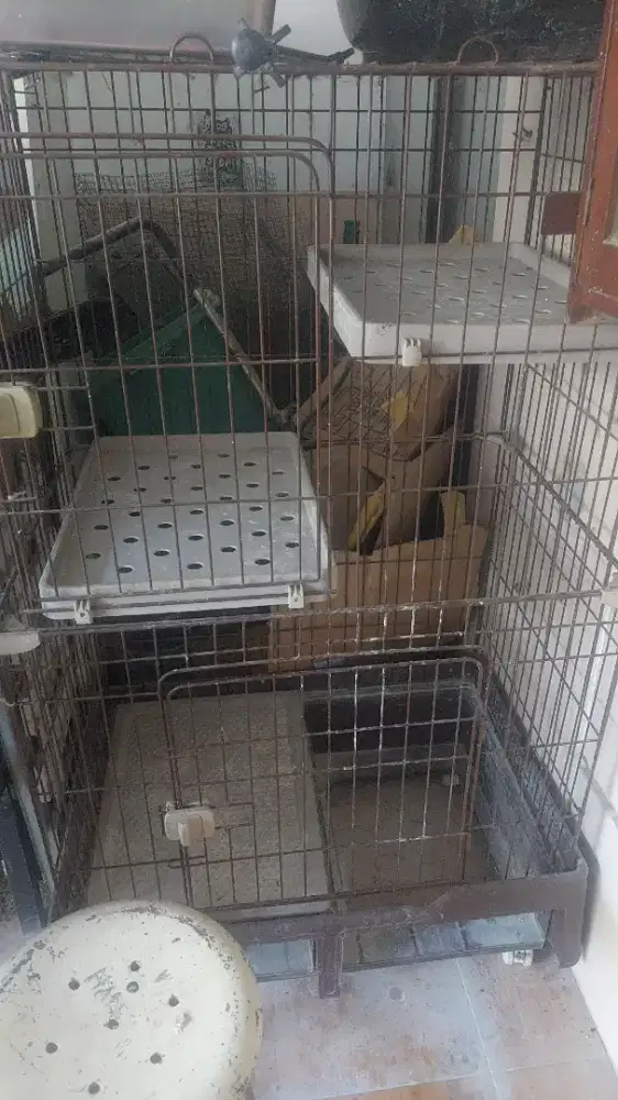 Kandang kucing besi