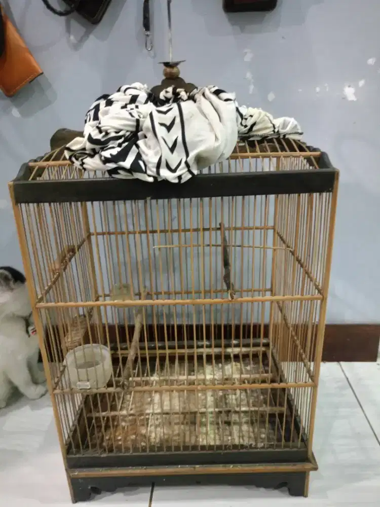 Sangkar burung cocok untuk kenari