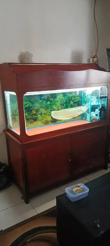 Aquarium 155x60x60