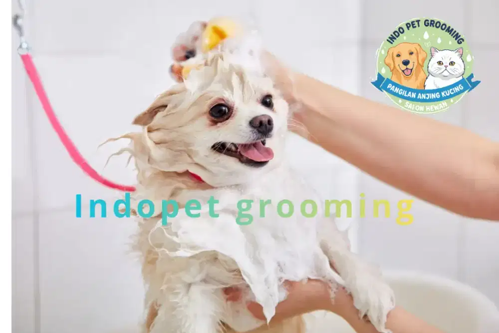 INDONESIA PET GROOMING ANJING&KUCING_MATRAMAN JAKARTA TIMUR