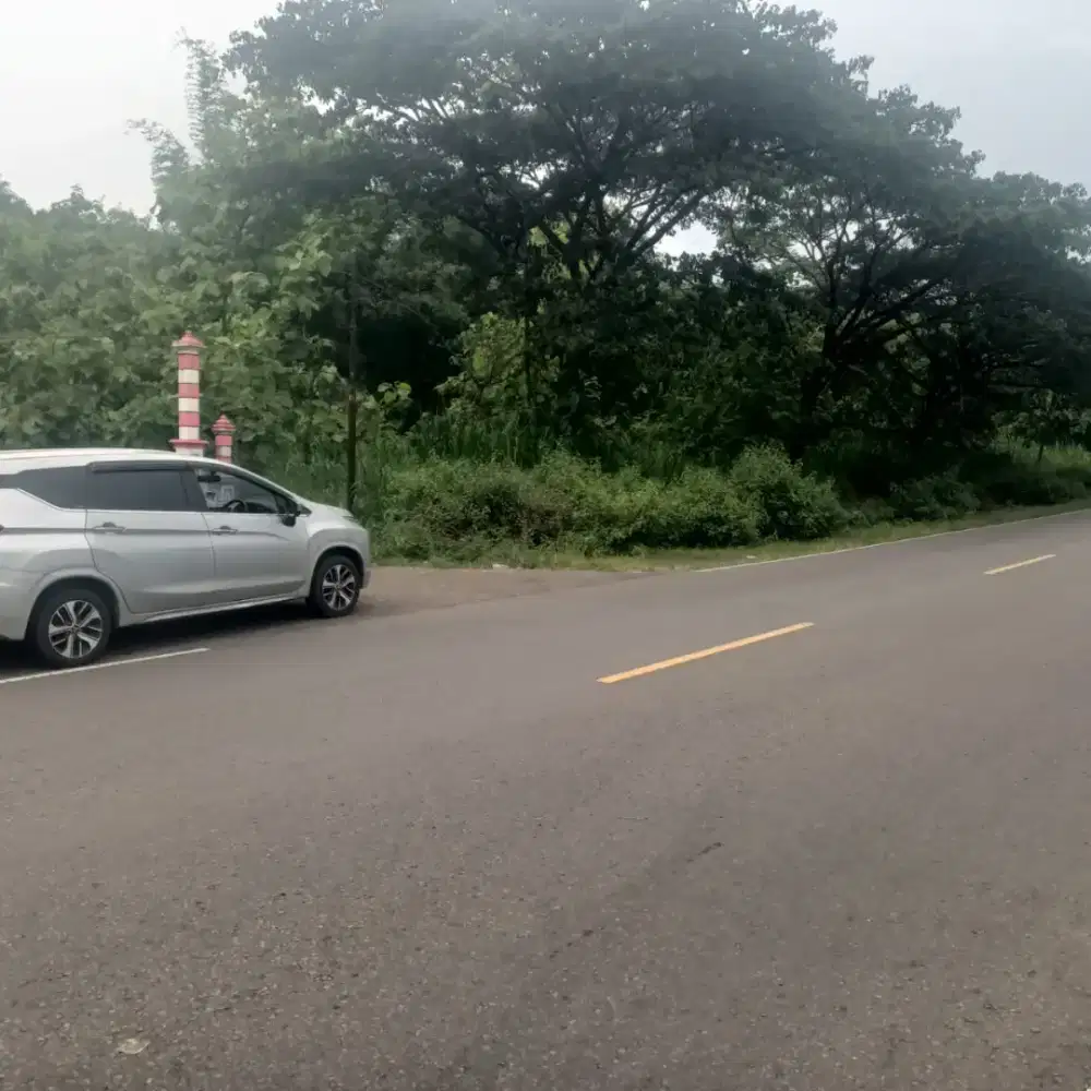 Infestasi Tanah Strategis Di Tepi jalan Lintas Selatan  -  Giriwoyo