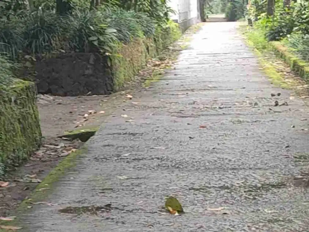 Dijual Tanah Pekarangan 600m Murah – Kemalang, Klaten, Jawa Tengah