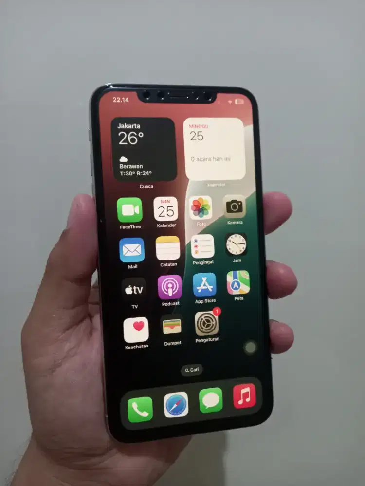 IPhone Xs Max 64Gb Lte Batangan ex inter ada minus dibaca