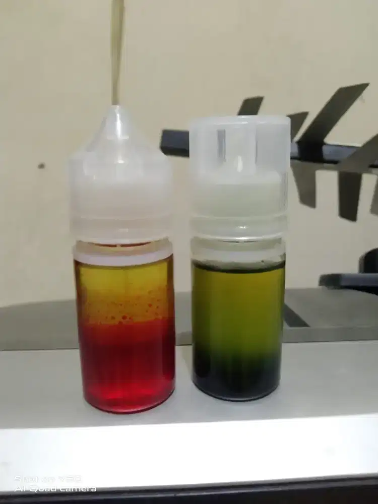 Esen media Aci galapung ikan mas