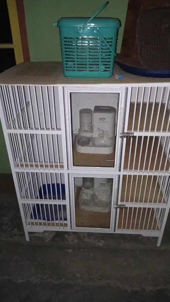 Kandang kucing 2 lantai plus furnish