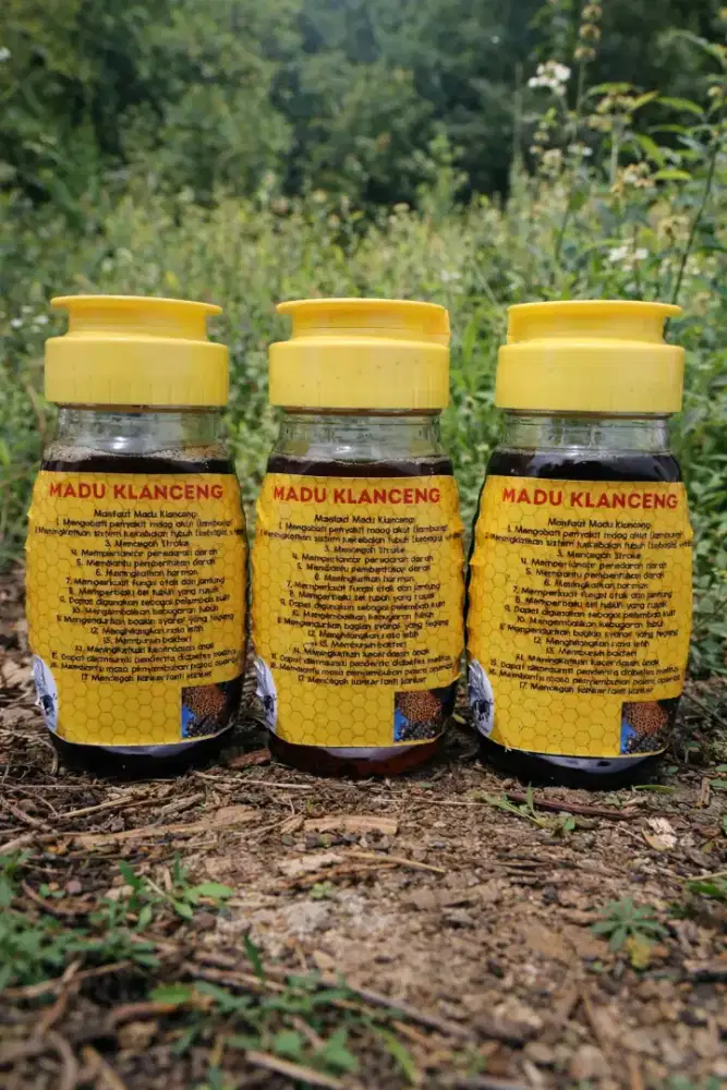 Madu Klanceng 600ml