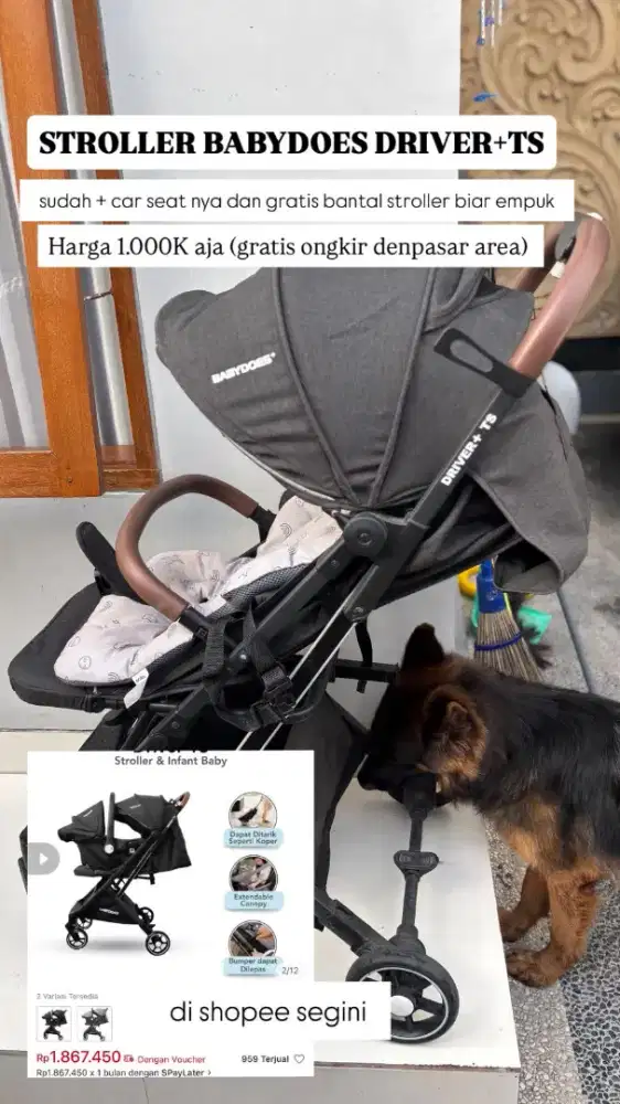 Stroller + Car Seat Babydoes