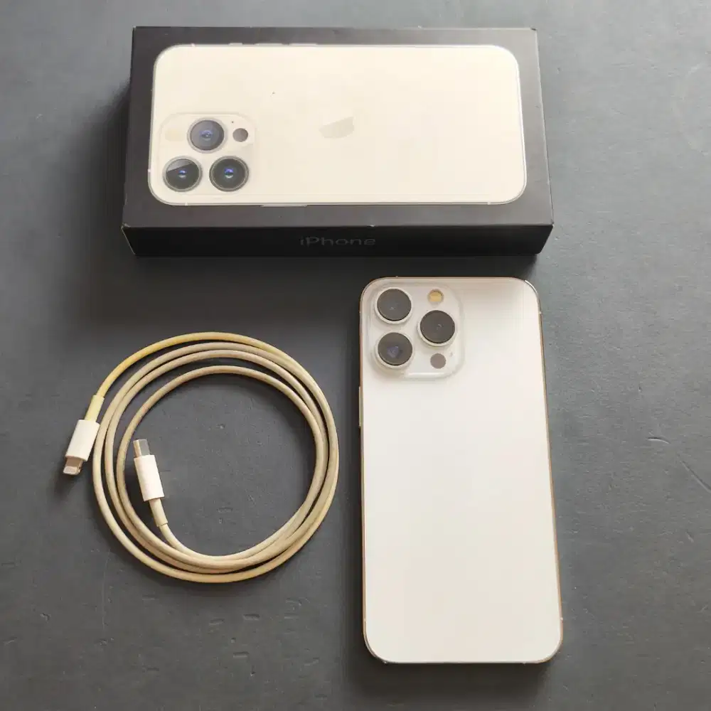 IPHONE 13 PRO 128GB SILVER EX GARANSI RESMI