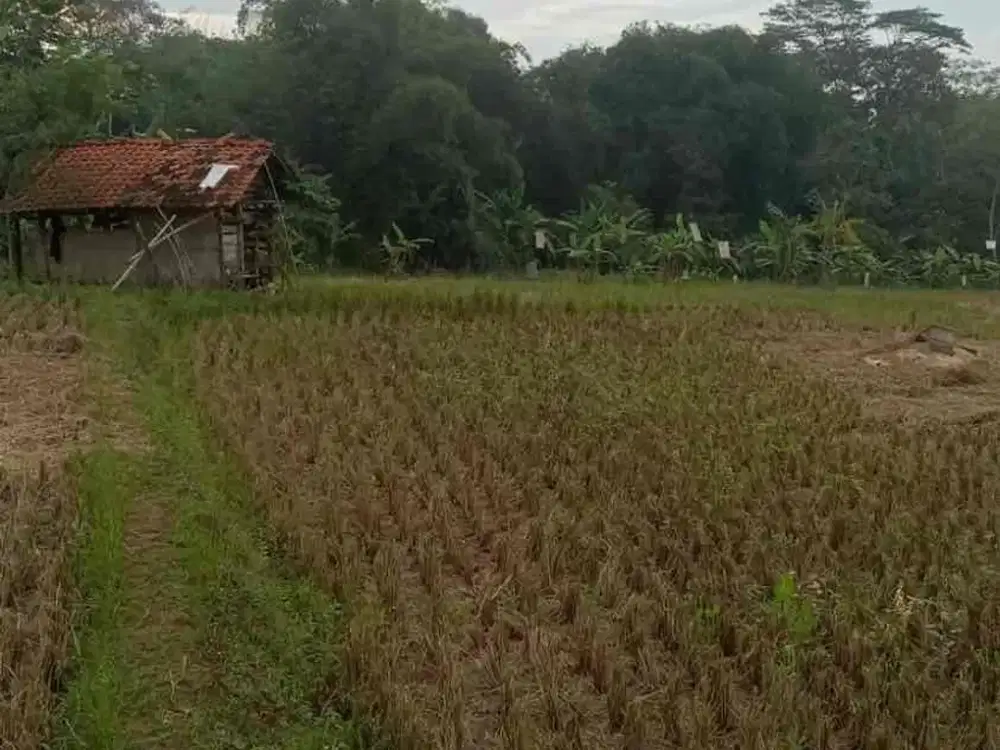 dijual sawah murah 1 hektar di buah dua sumedang