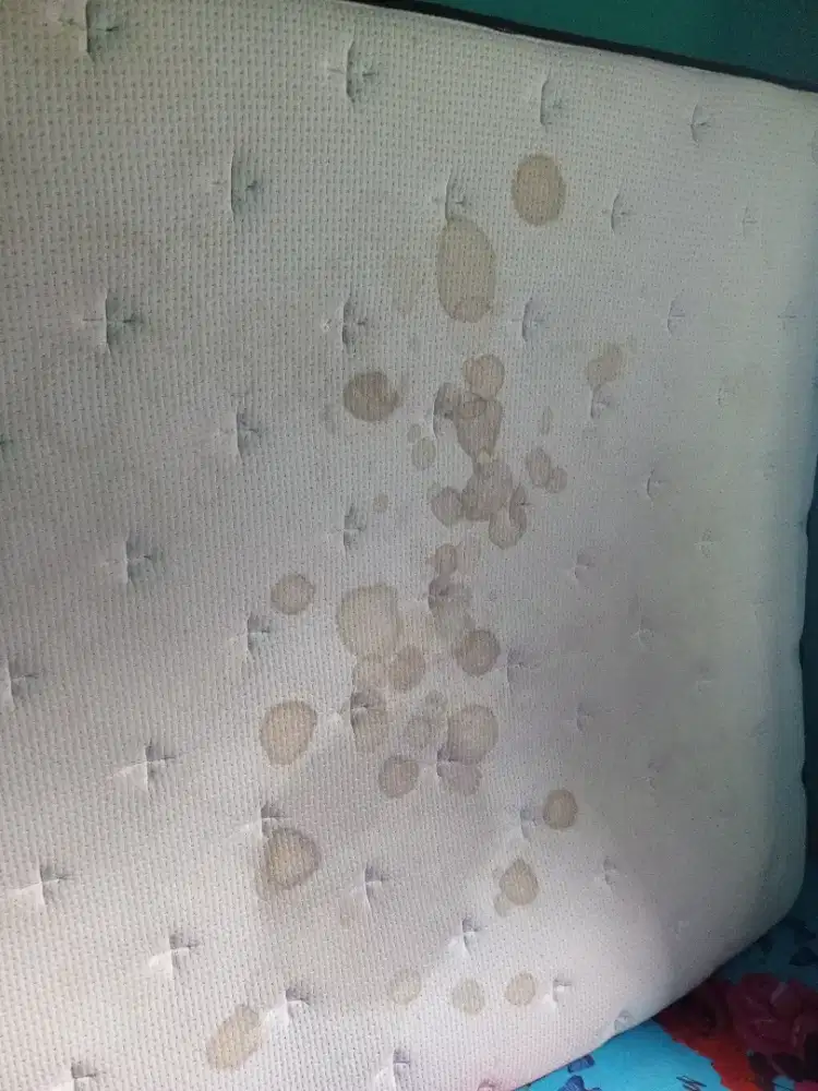 Jasa cuci kasur springbed sofa jok mobil dll