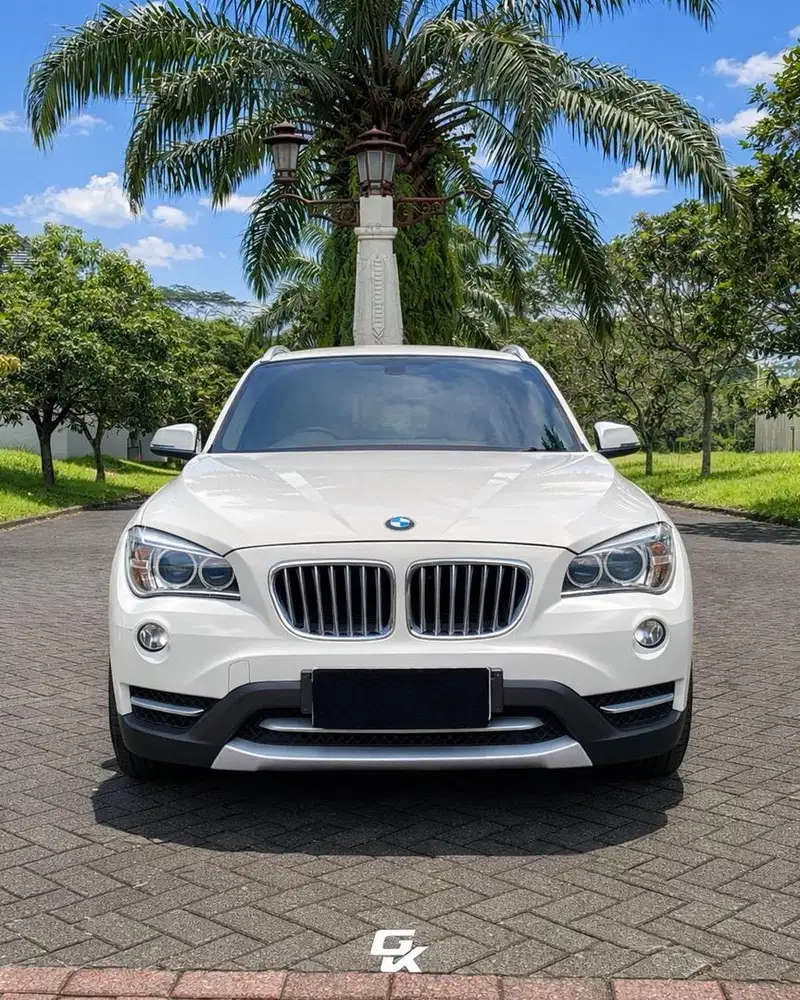 BMW X1 sDrive18i Executive AT 2013