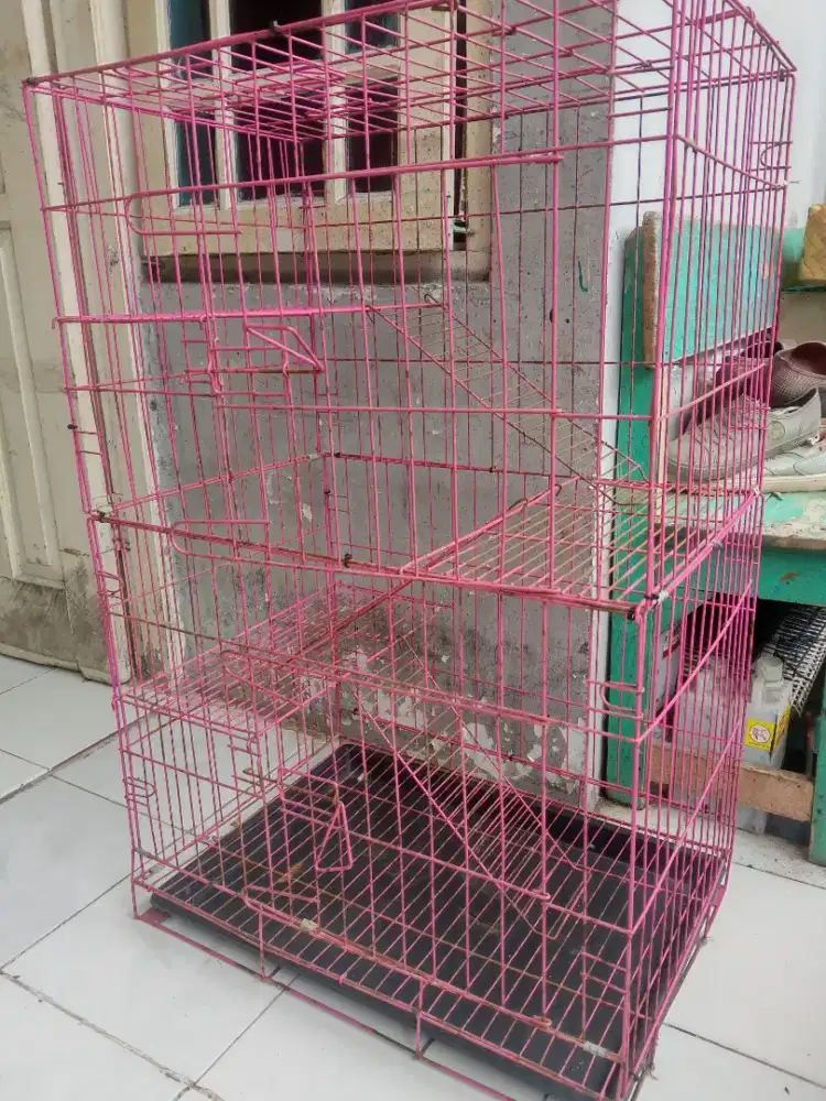 Kandang kucing tingkat