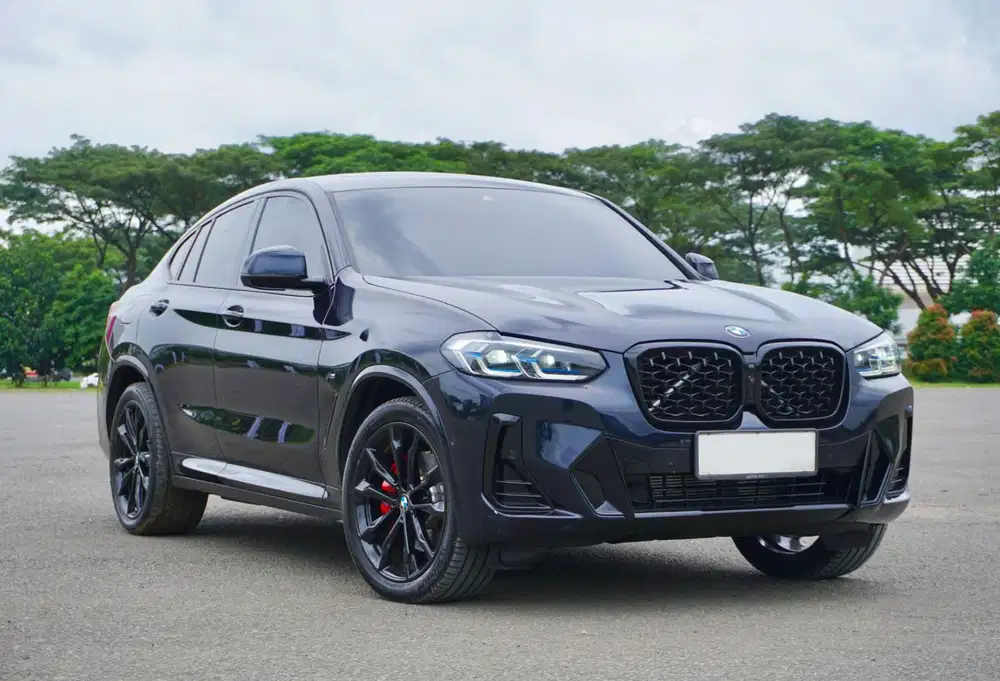 BMW X4 G02 LCI 
MSport xDrive30i 2022