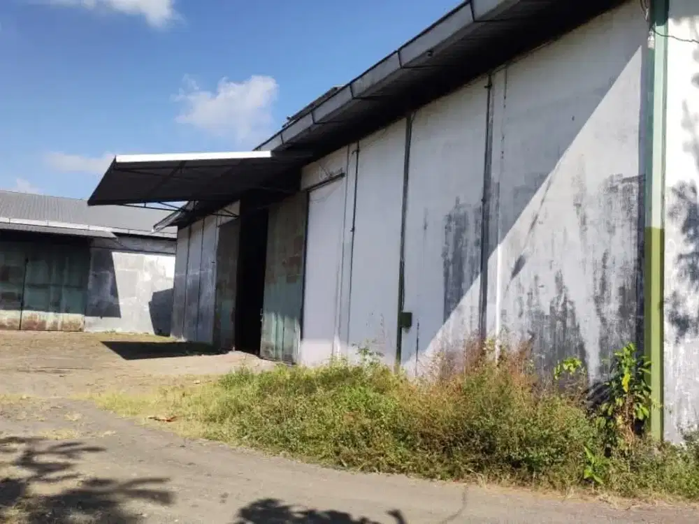 DISEWAKAN GUDANG STRATEGIS – ROGOJAMPI, BANYUWANGI