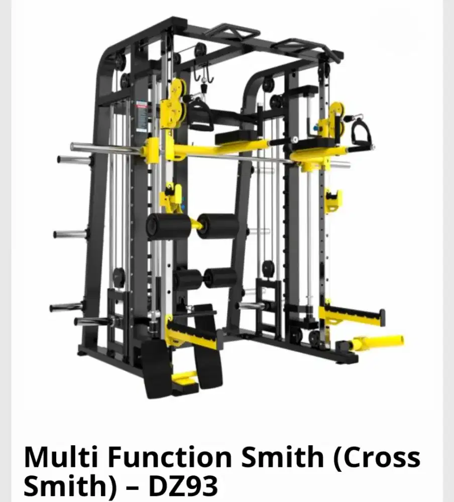 DZ93 Functional Smith Machine