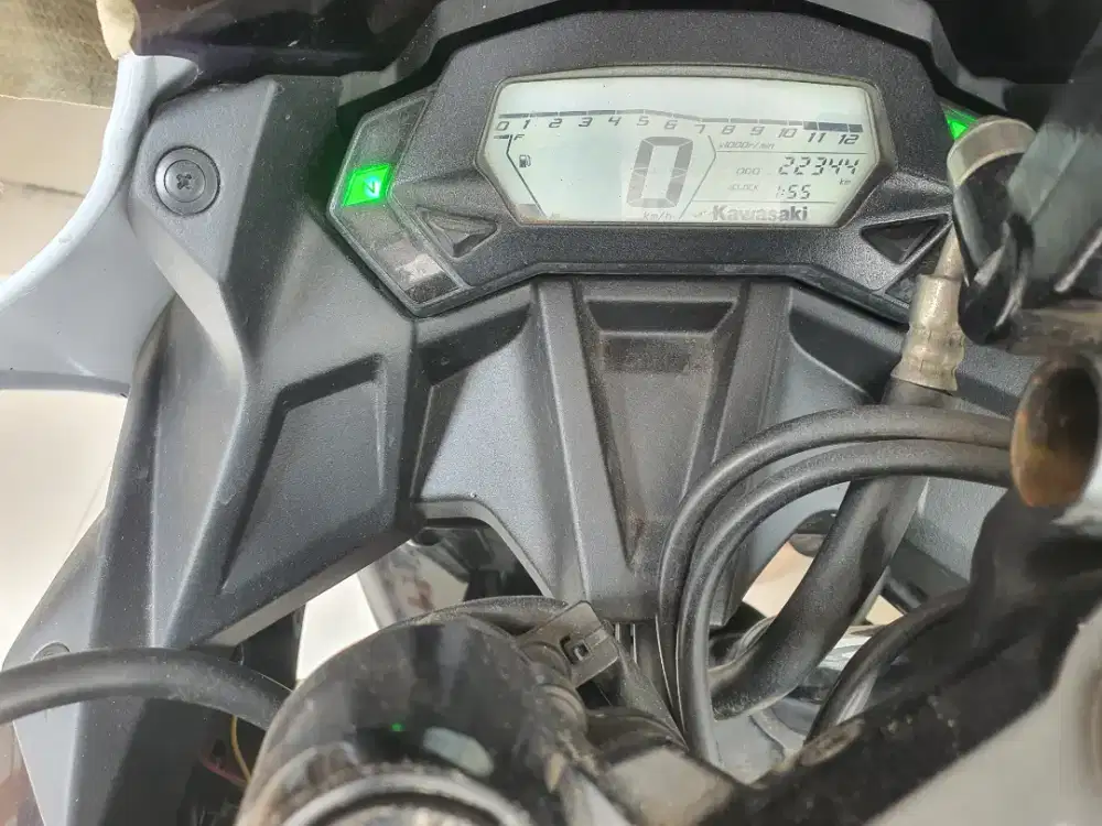 Kawasaki Ninja 250 mono 2014