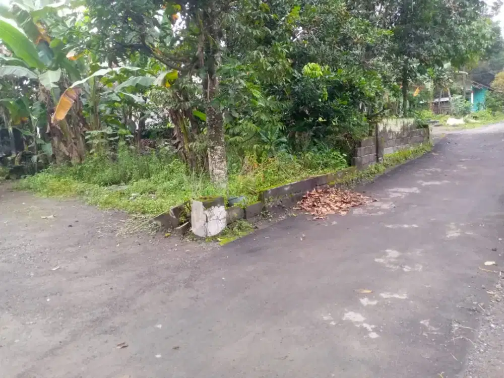 TANAH PEKARANGAN MURAH DEKAT PASAR KEMBANG