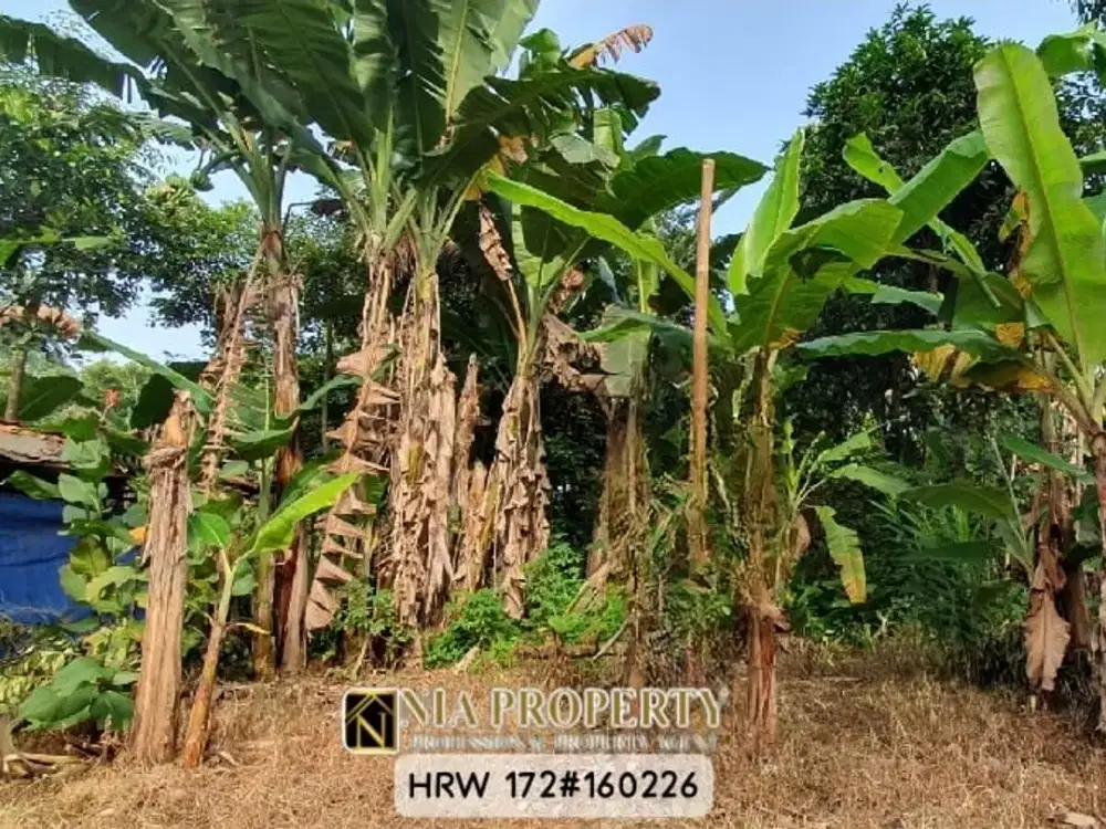 KAVLING TANAH DI LEUWINANGGUNG, TAPOS DEPOK CIBUBUR, BISA AKSES MOBIL