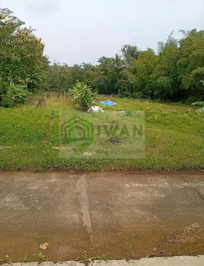 Tanah Luas & Murah Hadap Jalan Lebar Dekat Jalan Kabupaten