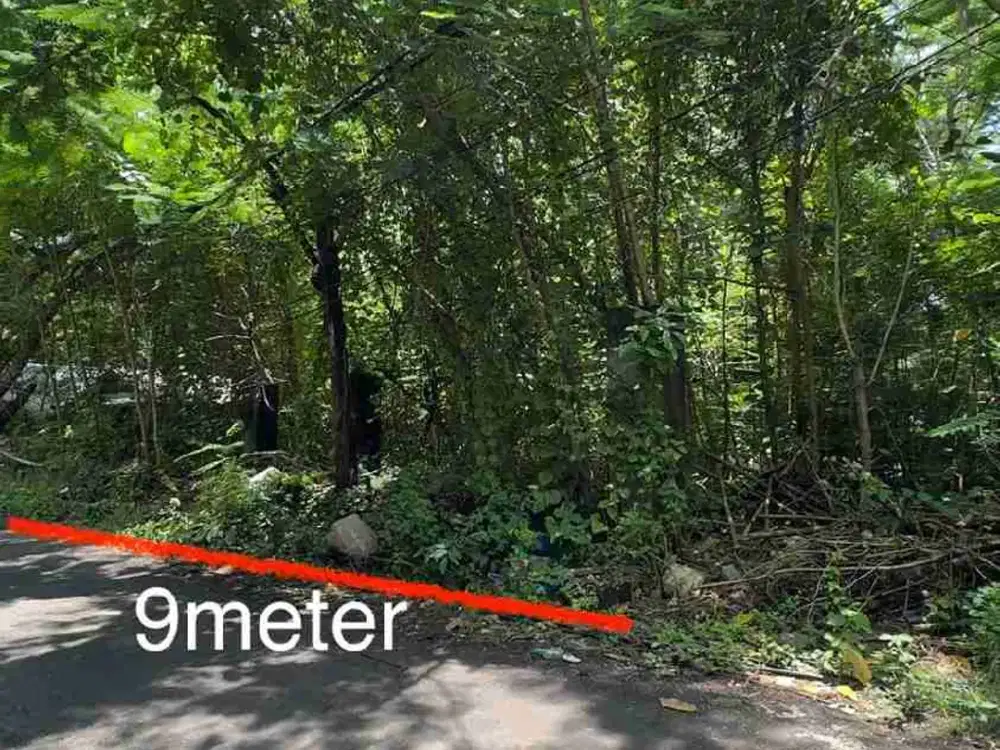 Tanah Luas 2ara/2000m² Zona Kuning Jl. Raya Uluwatu ( Komp.Airis ) area Villa Komersil cocok untuk investasi