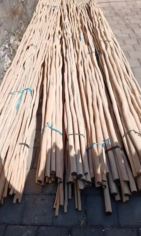 Kayu galam Kalimantan