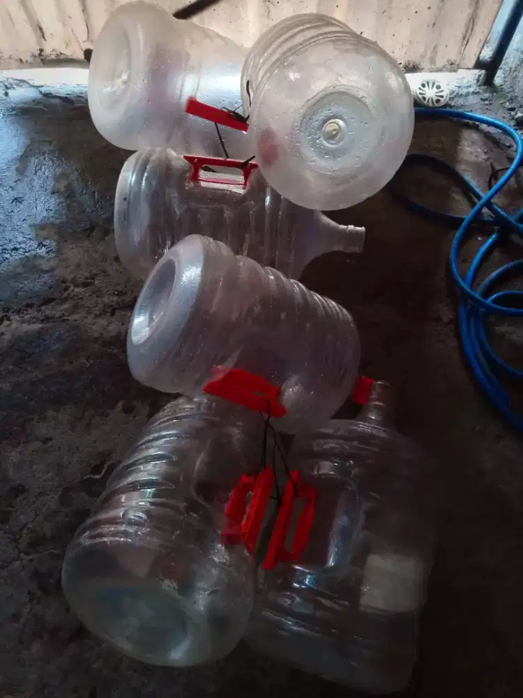 Galon Cleo ada 6 biji