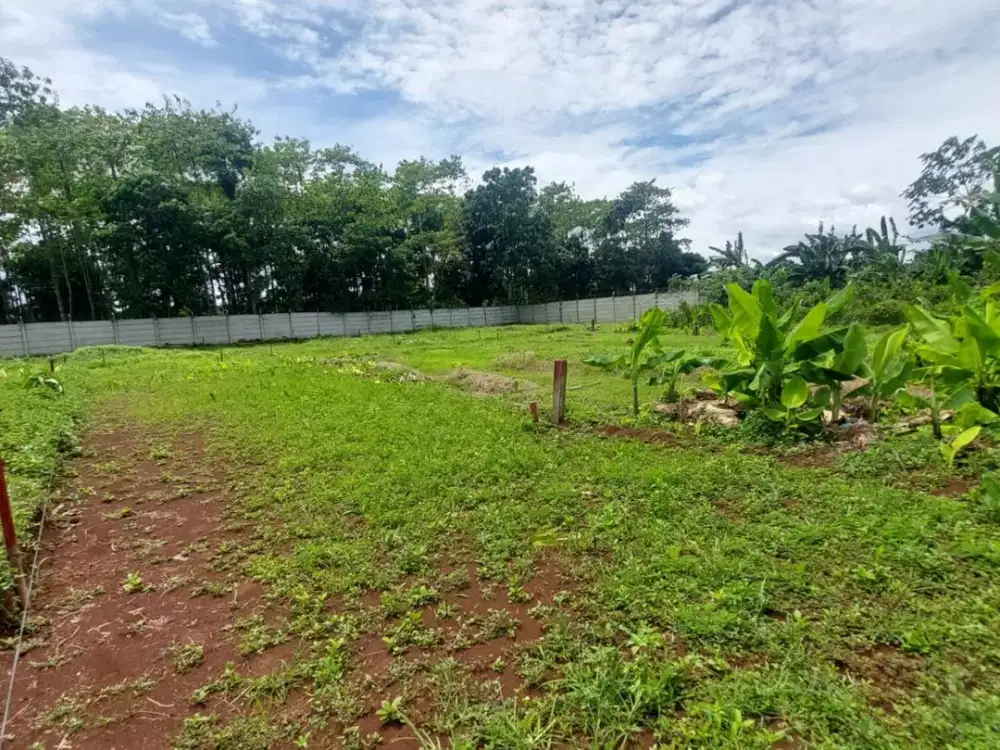 Tanah Cisauk Strategis Dekat Stasiun Jatake Baru, Bisa Cicil 12 X