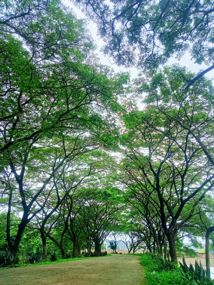 Lowongan Pekerjaan Jakarta Selatan