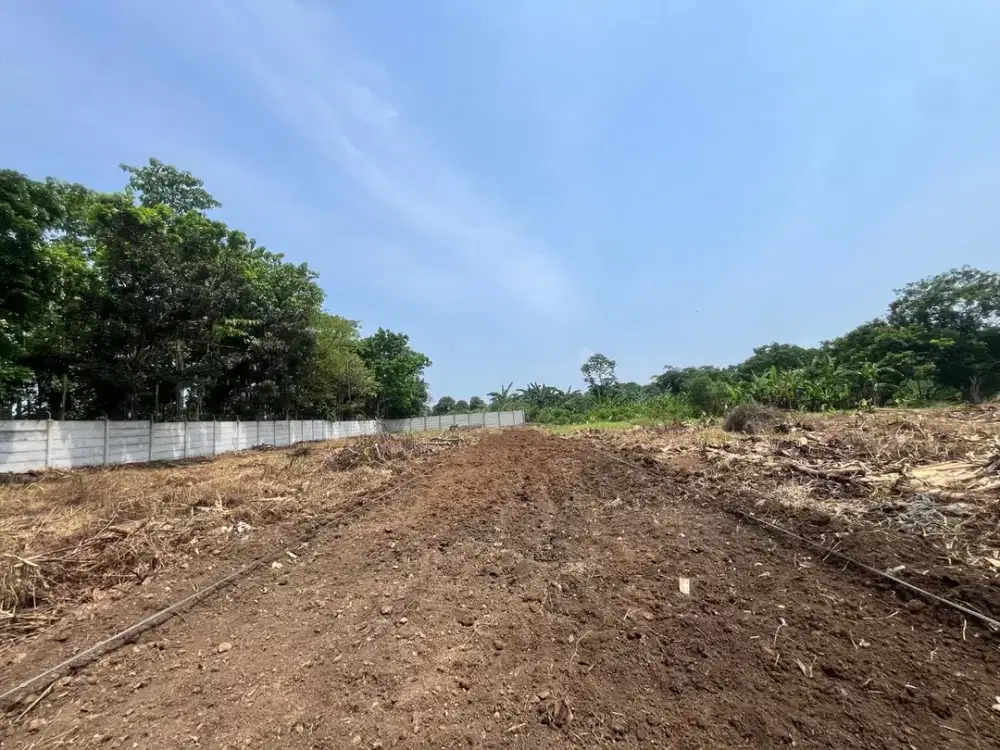 Tanah Murah SHM Cisauk, Strategis Dekat Stasiun Cicayur