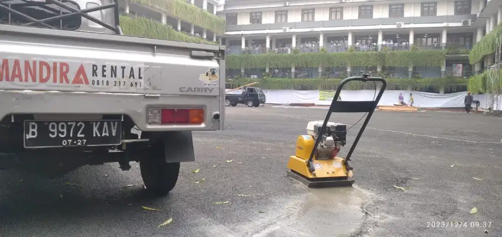 Baby roller pemadat 2 ton stamper kuda stoom stamper kodok