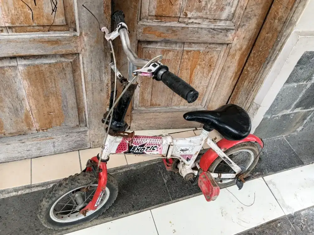 Jual sepeda exotic dan wim cycle