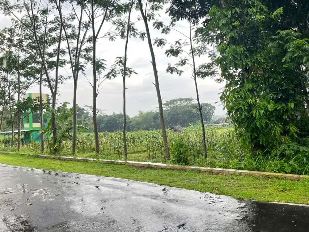 Tanah Datar 1172m² Tepi Jl Dpu Mojogedang, Karanganyar