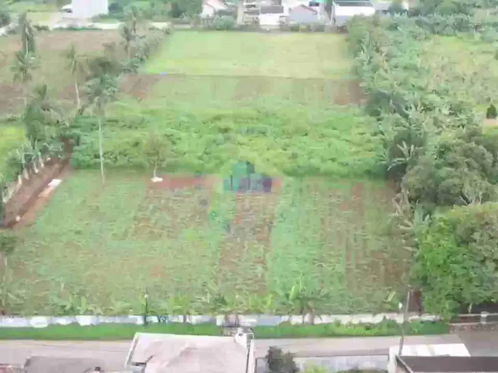 Disewakan Tanah Di Desa Dangdang, Cisauk, Tangerang