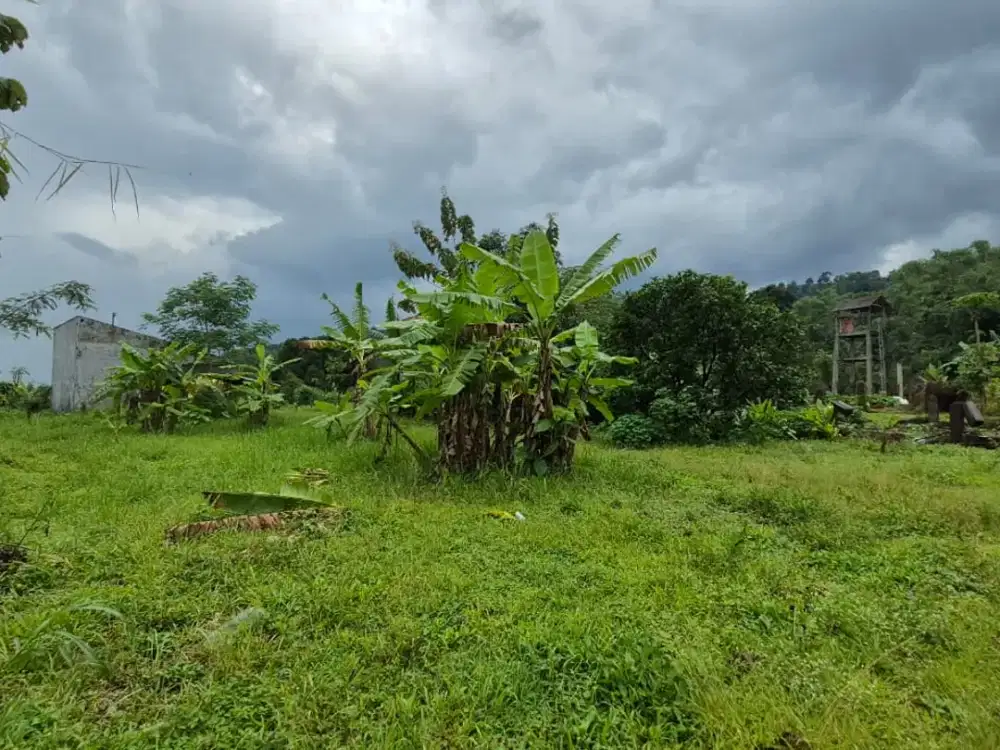 Tanah Prigen Dekat Taman Dayu