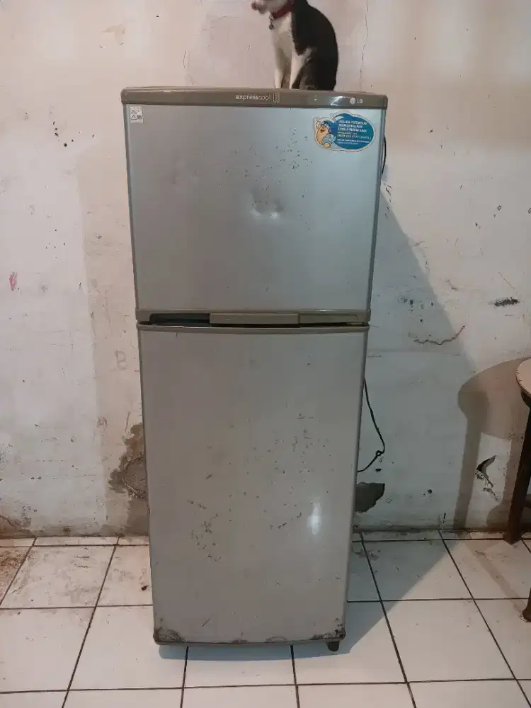 Kulkas 2 pintu LG
