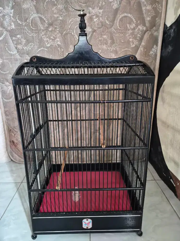 Kandang kotak sazime no2 sangkar kotak no 2 sazime kandang kotak no2