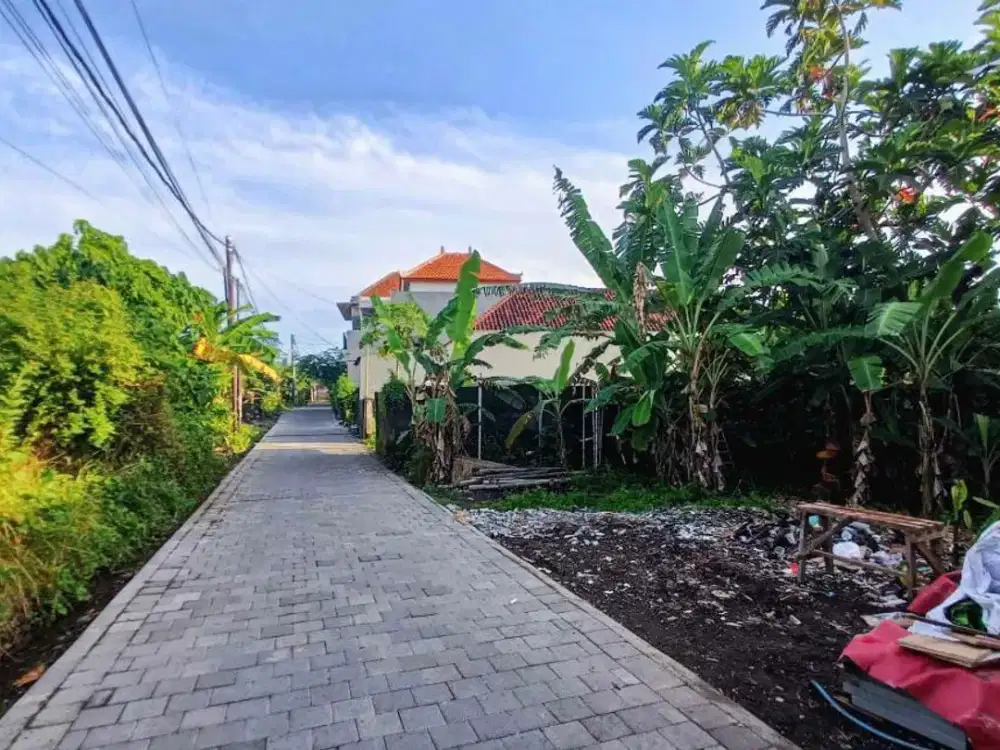 Jual  Tanah View Sawah Di Jalan Trenggana Penatih Denpasar Timur Bali. Dekat Ke Jalan trengguli, Gatsu Timur, Living Mall,Cekomaria