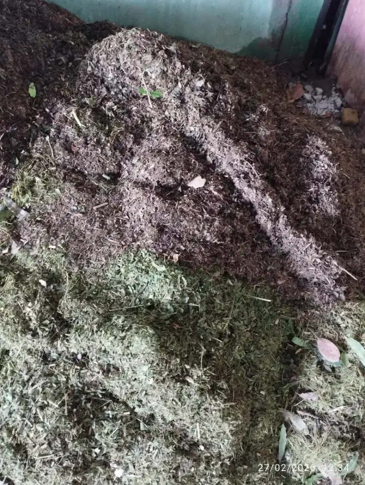 Bahan Kompos atau sampah daun yang digiling