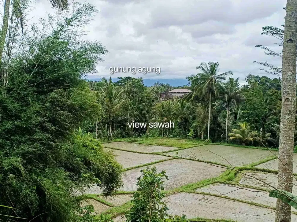 di sewaka. tanah strategis zona coklat 25 menit ke ubud