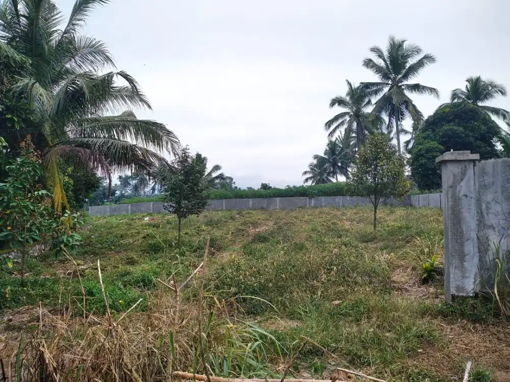 DIJUAL TANAH STRATEGIS – PAYAKUMBUH BARAT (TALANG)