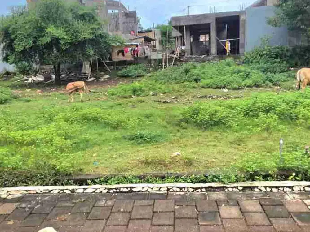 Tanah Luas 1.83are/183m² Zona Kuning Jl  Tulip Ungasan area Investasi strategis.