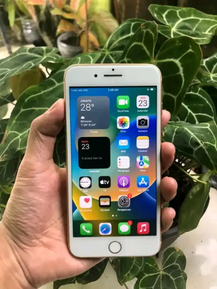 iPhone 8 plus 64gb all operator ex iBox