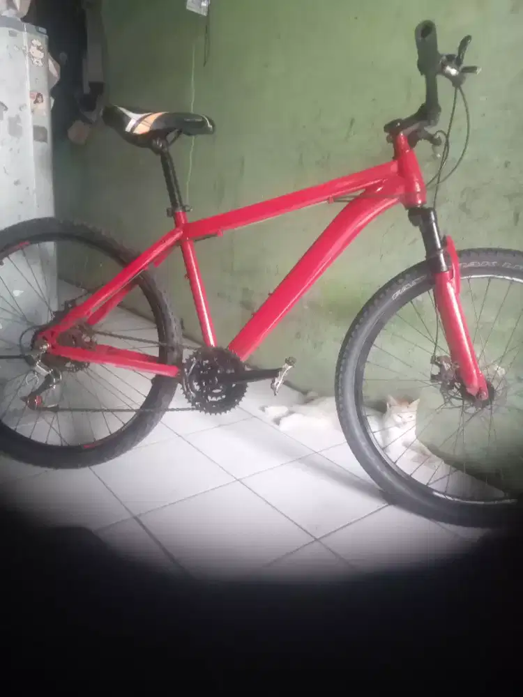 Sepeda gunung Evergreen UK 26