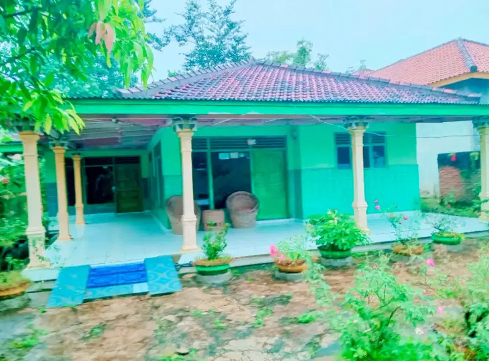 Dijual Cepat Rumah