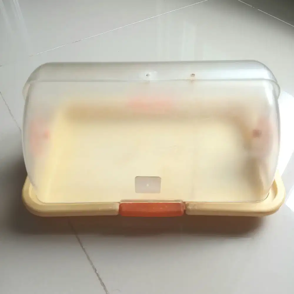 Tempat roti kue plastik tebal tertutup anti debu Claris, bekas