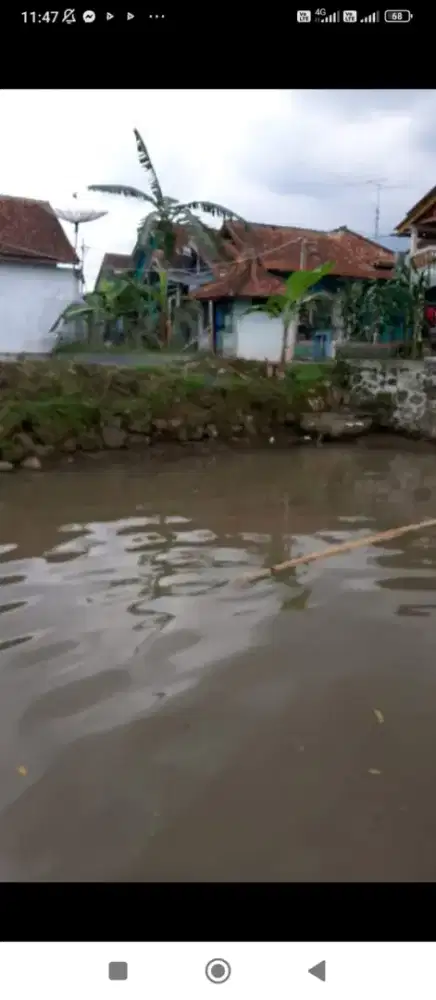 Dijual Kolam Ikan masih aktif