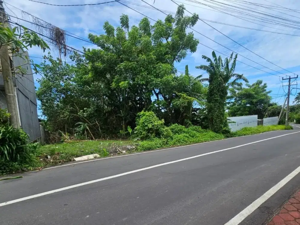 Tanah Tiying Tutul Pererenan Canggu Badung