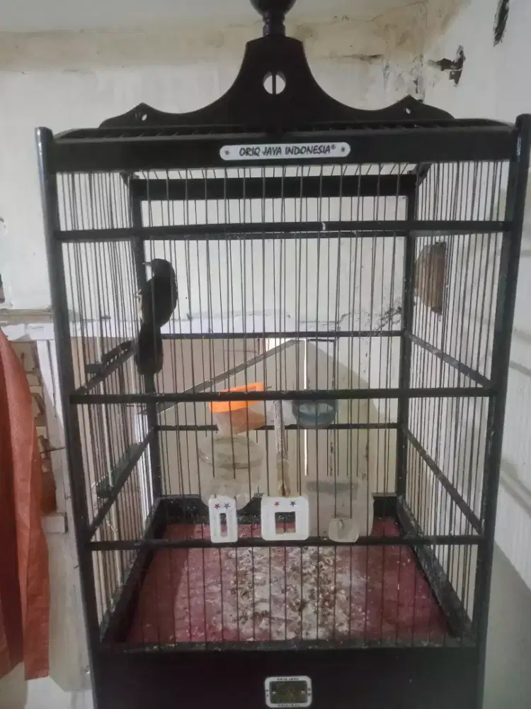 Jual kandang ORIQ no 3 mulus jari fiber