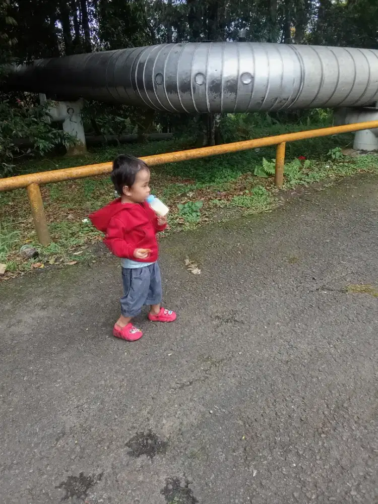 Pengasuh anak 2 tahun