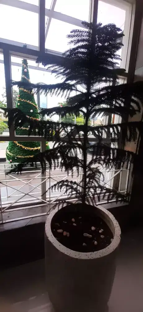 Nyari krjaan sampai lebaran